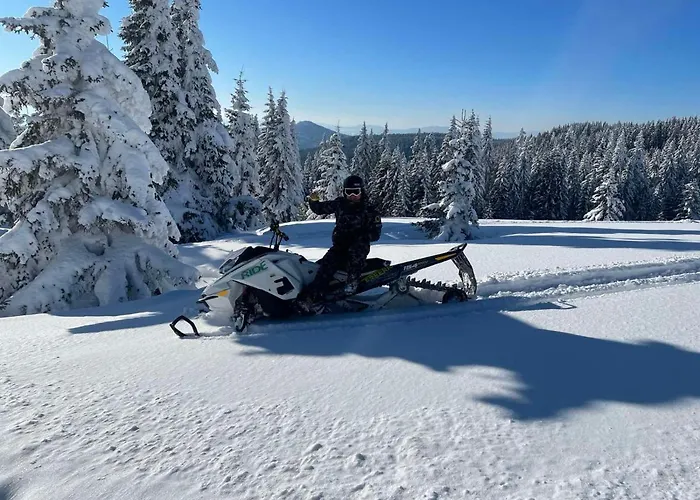 Massiv Kopaonik Centar Lux Apartmani