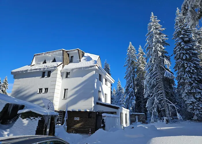 Massiv Kopaonik Centar Lux Apartmani